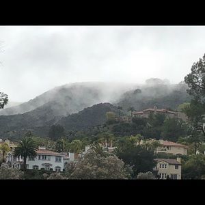 Meet your Posher, Bonnie